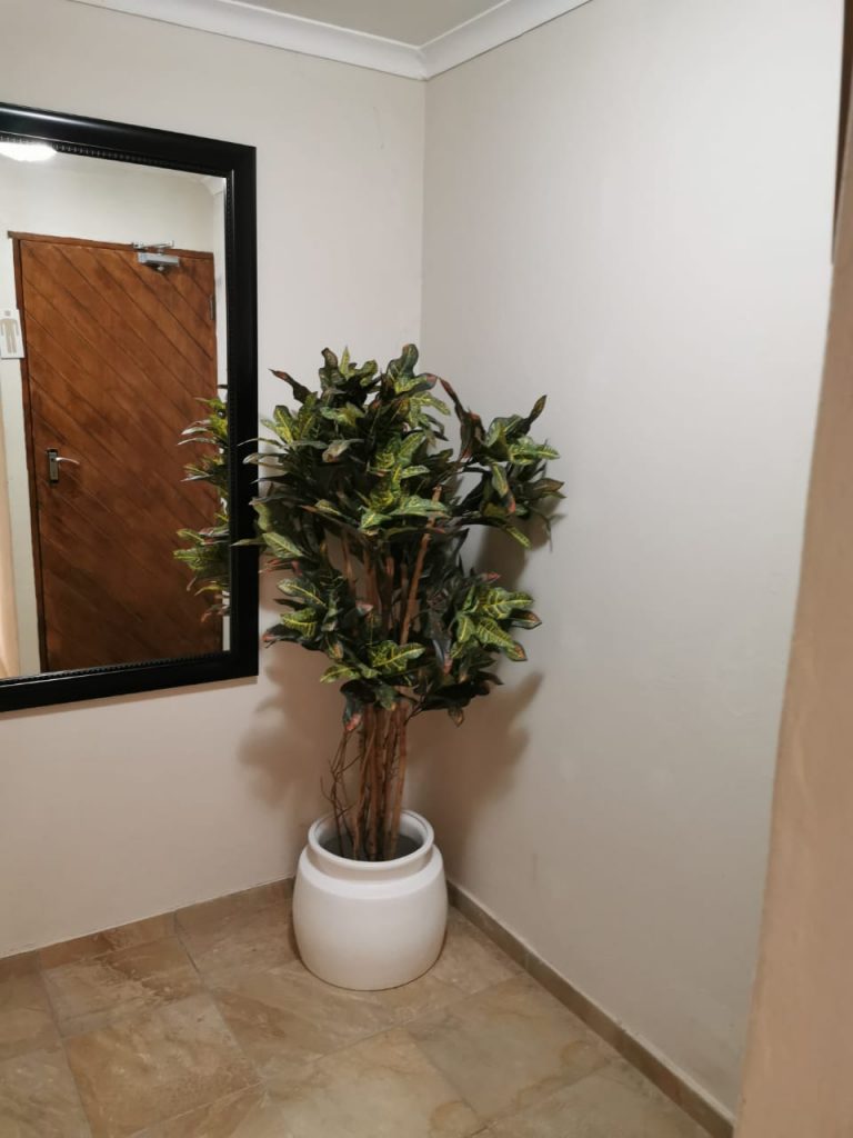 IMG-20190909-WA0010[1]